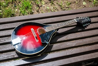 Folková mandolína + polstrovaný gig bag - 2