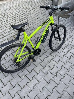 Kola rockrider - 2