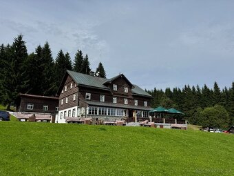 Obsluha restaurace, číšník, servírka - 2