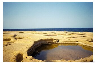 Yashica T3, po servisu, jako nová - 2