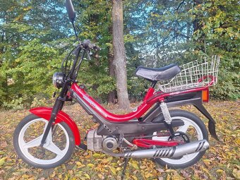 Manet korado v pěkném stavu - 2