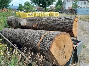 Dubová kulatina - 2