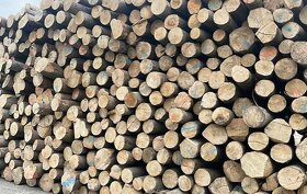 Palivové dřevo tvrdé akce do vyprodání zásob - 2