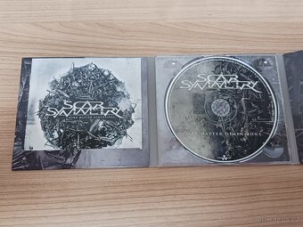 SCAR SYMMETRY - Dark Matter Dimensions - 2