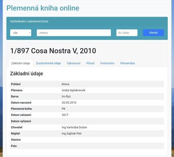 Chovná kobyla ČT po Heartbreak ZH - 2