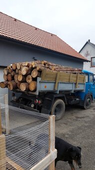 Palivové dřevo - 2