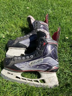 Bauer vapor x800 - 2