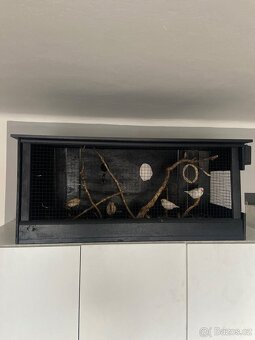 Dobry den prodám dvě žebříčky + klec domácí vyroby - 2