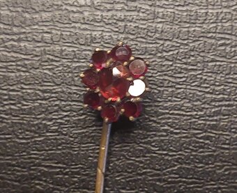 Jehlice České granáty. - 2