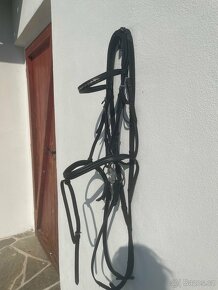 Drezurní uzdečka - 2