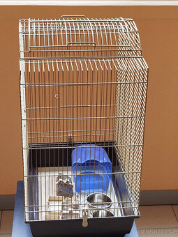 Ptačí klec - po korele - 2