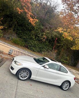 Bmw 2 COUPÉ, diesel 2 l. 44, šíbr - 2
