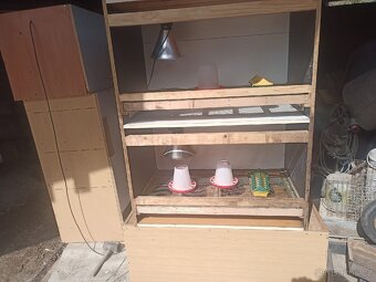 Odchovna drůbeže - 2