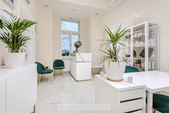 Pronájem místa - Praha 1 - 2