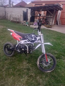 Pitbike 125 Buffler d125y - 2