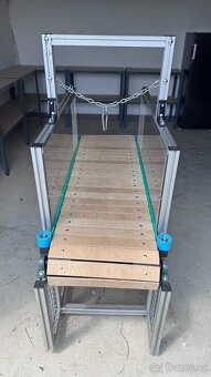 Treadmill bully - 2
