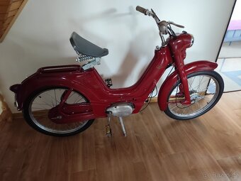 Jawetta 551 - 2