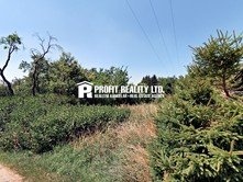 Prodej pozemky - zahrady, 632 m2 - Medonosy - Nové Osinalice - 2