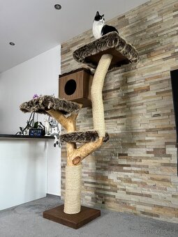 Kočičí strom s boudičkou - 2