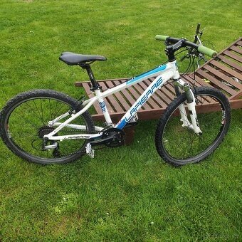 Lapiere 24" - 2