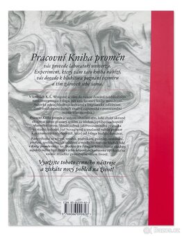 I-ťing pracovní Kniha proměn |  R.L. Wing - 2