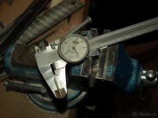 Trsátko- velbloudí kost - 2