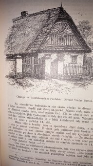 Květy 1885-1889 - 2