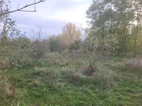 Zahrada 18300 m2, oploceno, u řeky, Štětí - Počeplice - 2
