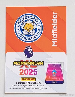 Panini Adrenalyn XL Harry Winks - 2