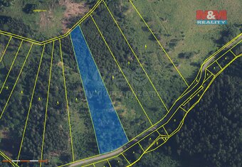Prodej lesa, 12967 m², Nemile - Lupěné - 2