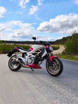 Suzuki sfv650 gladius - 2