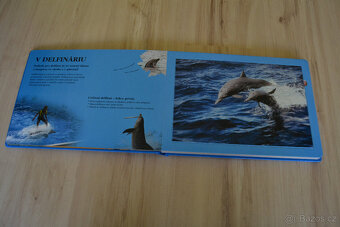 Puzzle Kniha Delfíni, Top stav - 2