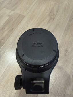 Sigma 150-600mm Comp. Pro Canon - 2