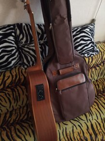 Elektroakustika  Pasadena - 2