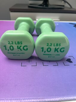 Prodám činky 1 kg - 2