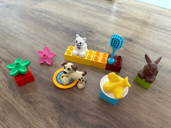 LEGO Duplo 10838 Domácí mazlíčci - 2