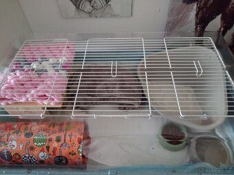 Box na mensi zvířátko - 2