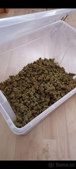 Cbd / technické konopí - 2