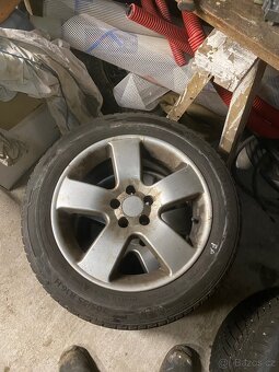 Barum Polaris 5 205/55 R16 - 2