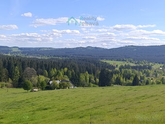 Prodej, pozemek 21 860 m², Křižánky - České Křižánky - 2