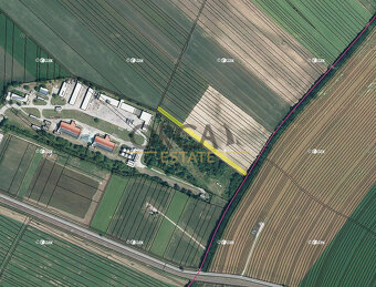 Pozemek v k.ú. Vlkoš u Kyjova - 2