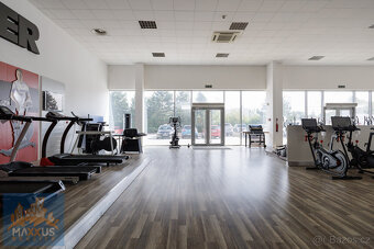 Pronájem obchodních prostor/showroomu (490,9 m2), SHOP PARK - 2