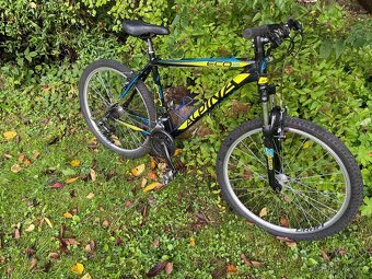 Horské kolo Alpina ECO M20 - 2