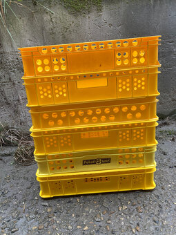 Přepravka plastová děrovaná pekařská nízká 80 kč - 2