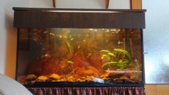 Prodám akvarium - 2