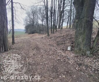 Dražba rybníku 7,7 ha a pozemky v obci Všepadly, okres Domaž - 2