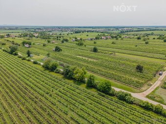 Prodej pozemek Sady/vinice, 2318㎡ - 2