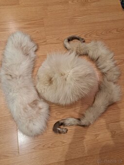 Kožešiny a kožešinové límce a čepice - 2