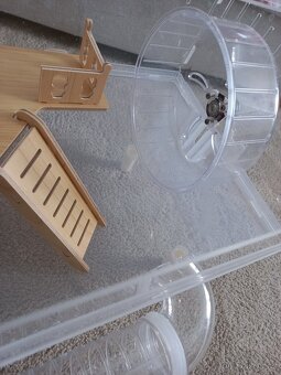 Box/ klec kreček džungarský - 2