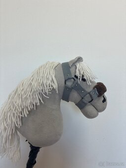 Hobby Horse - 2